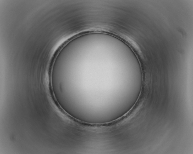 X0000113550936200909180956