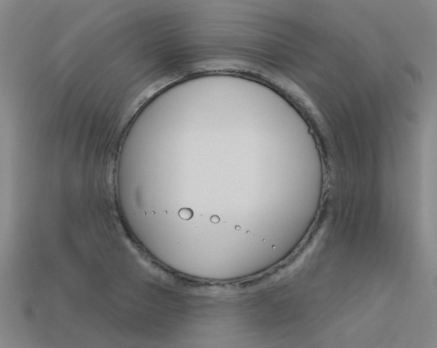 X0000113550937200909180956