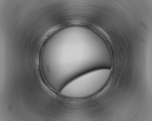 X0000113550938200909180956