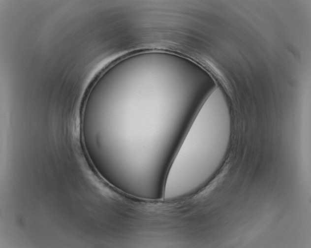 X0000113550940200909180956