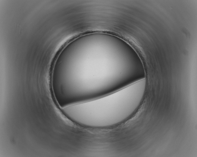 X0000113550942200909180956
