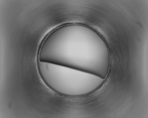 X0000113550943200909180956