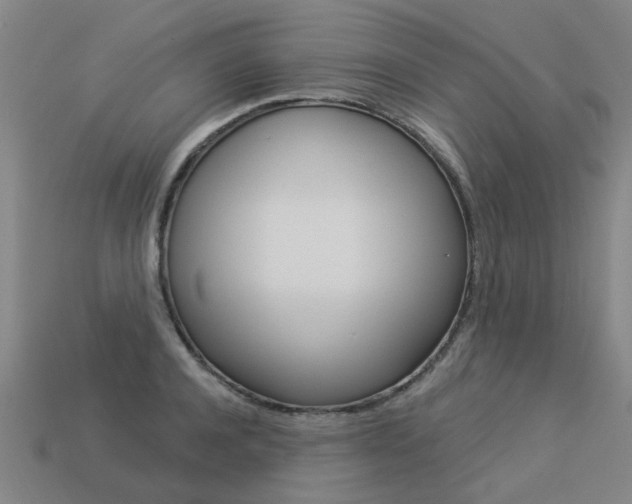 X0000113550944200909180956