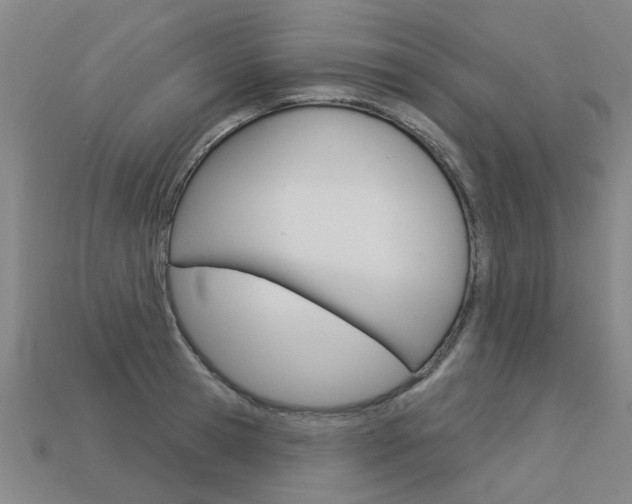X0000113550945200909180956