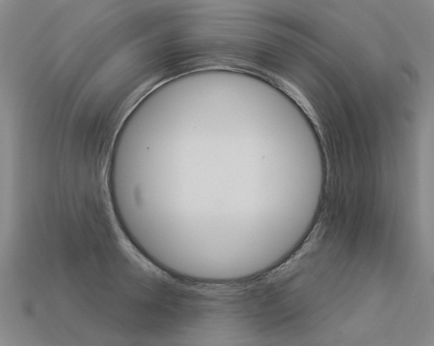 X0000113550946200909180956