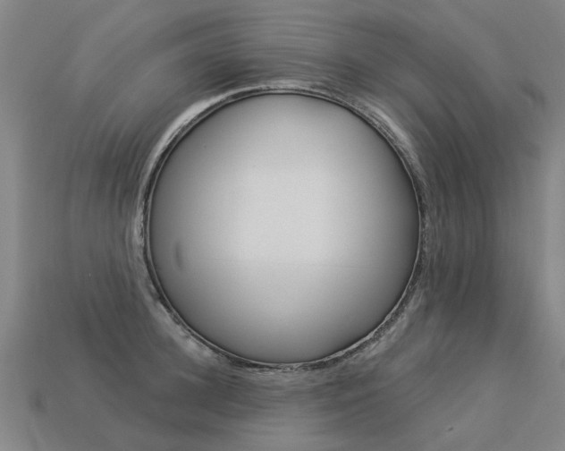 X0000113550948200909180956