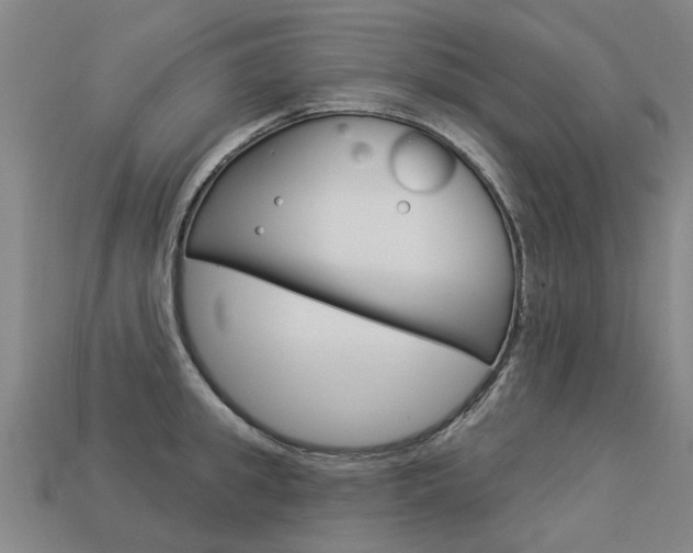 X0000113550949200909180956