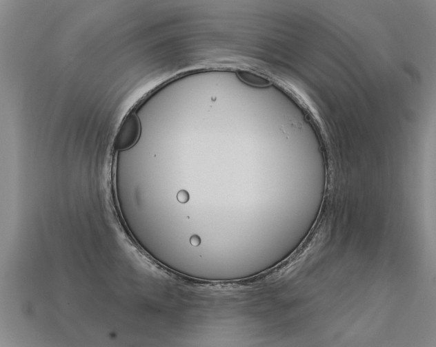 X0000113550952200909180956