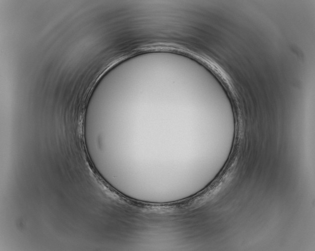 X0000113550953200909180956