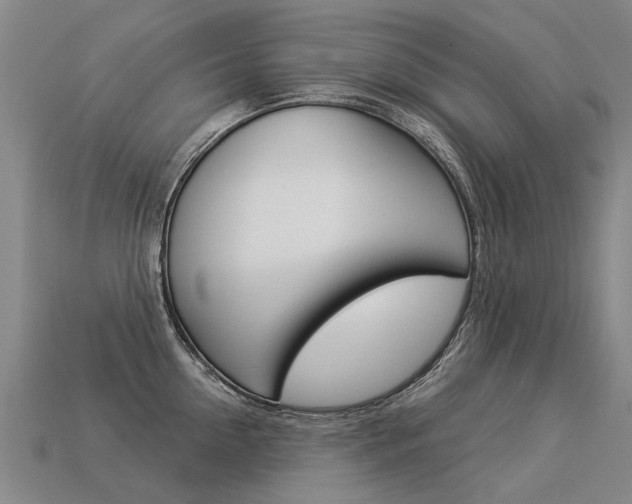 X0000113550954200909180956