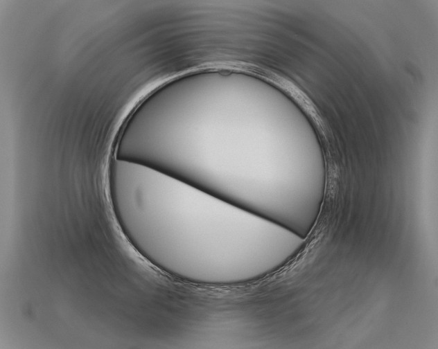 X0000113550955200909180956