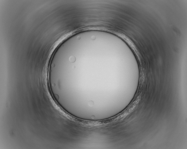 X0000113550957200909180956