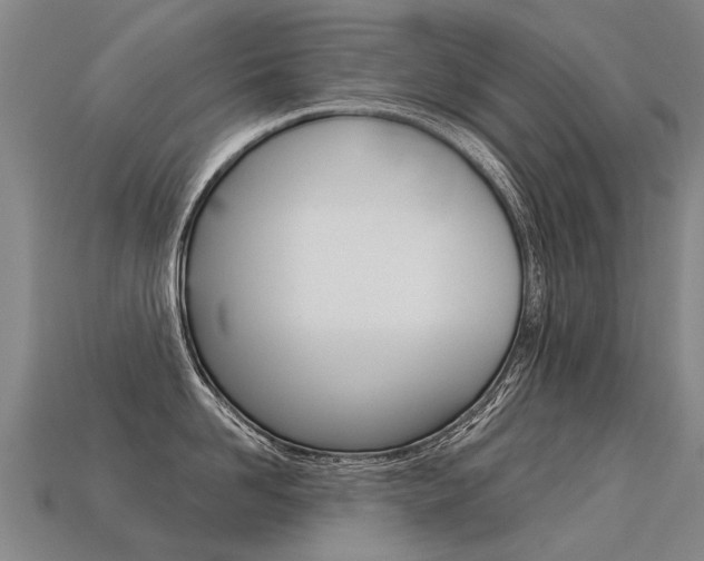 X0000113550958200909180956