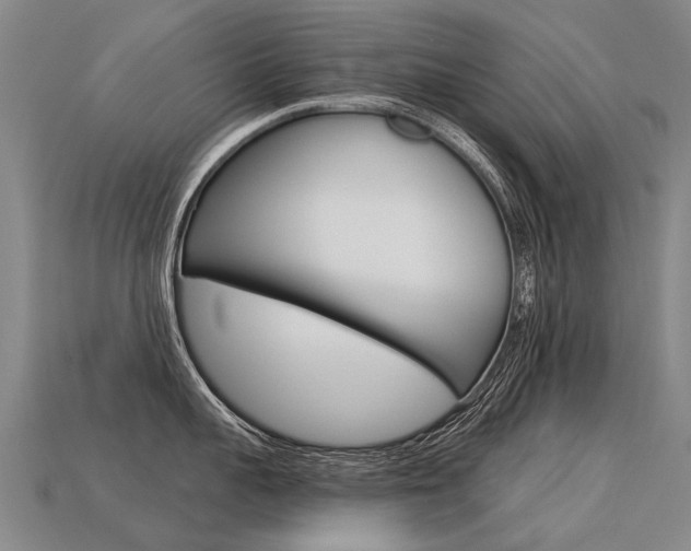 X0000113550959200909180956