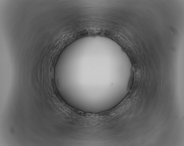 X0000113550961200909180956