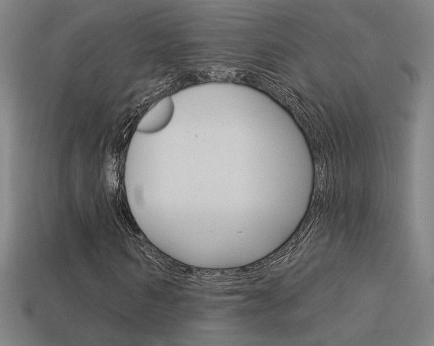 X0000113550962200909180956