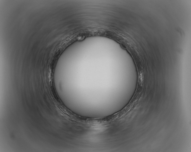 X0000113550963200909180956