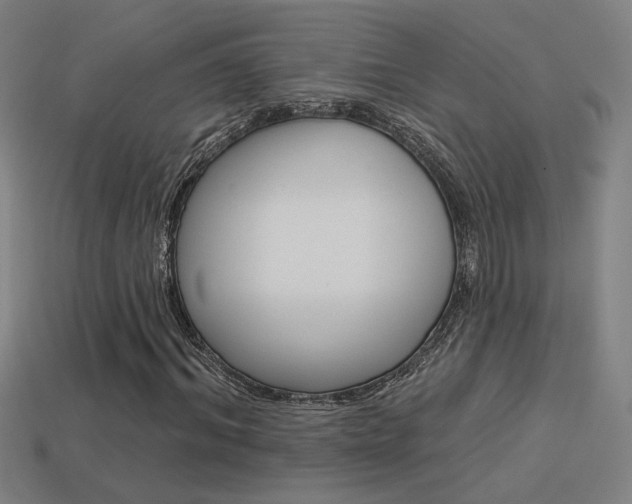 X0000113550964200909180956