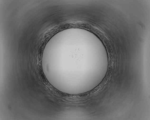 X0000113550966200909180956