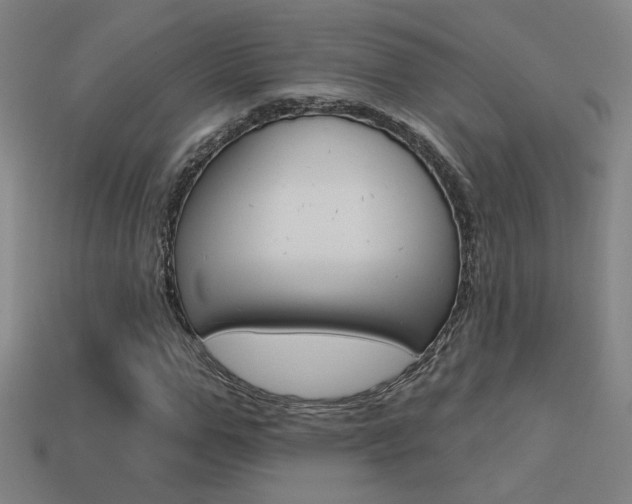 X0000113550967200909180956