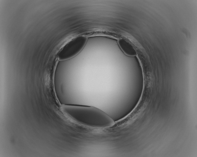 X0000113550969200909180956