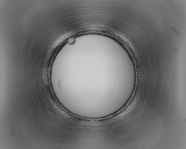 X0000113550970200909180956