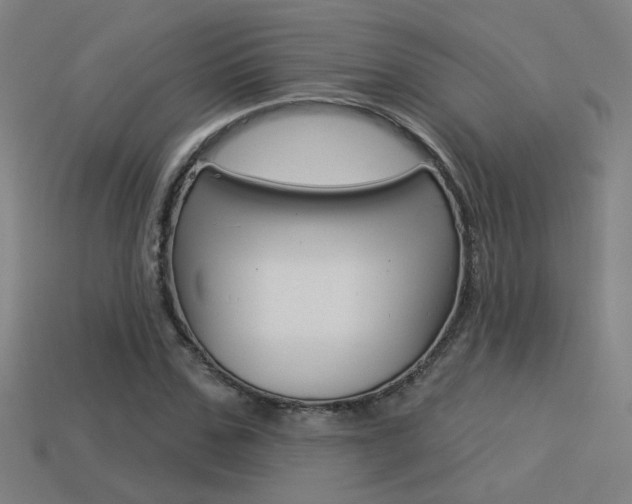 X0000113550971200909180956