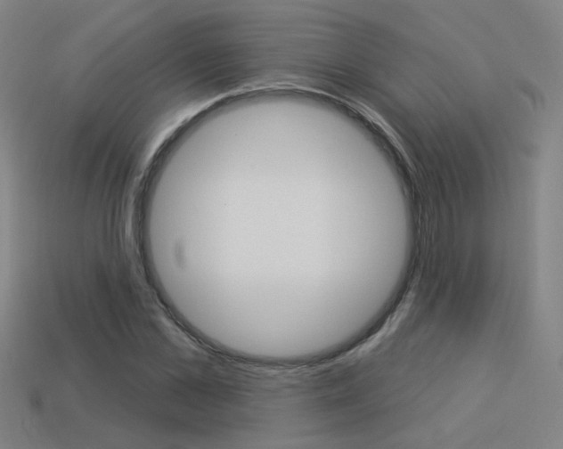 X0000113550973200909180956