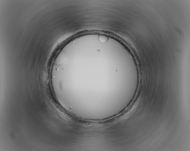X0000113550974200909180956