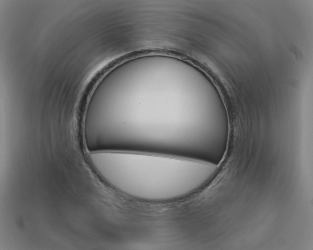 X0000113550975200909180956