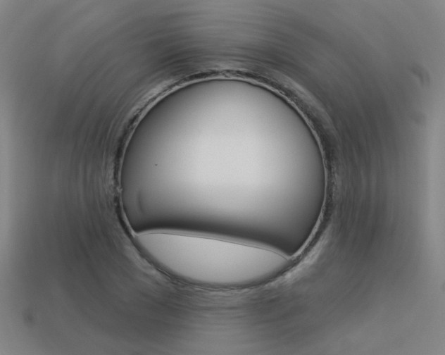 X0000113550977200909180956