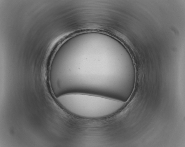 X0000113550979200909180956