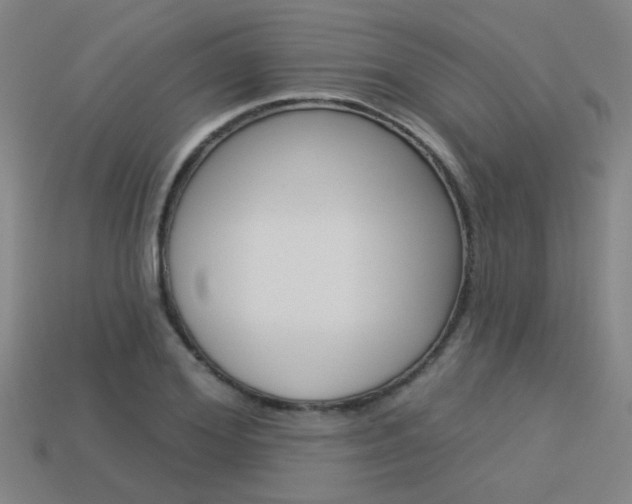 X0000113550980200909180956