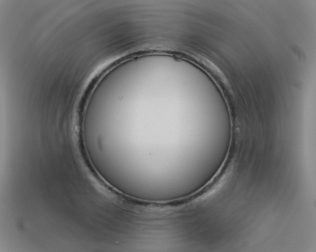 X0000113550981200909180956