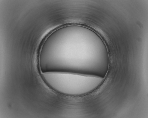 X0000113550983200909180956