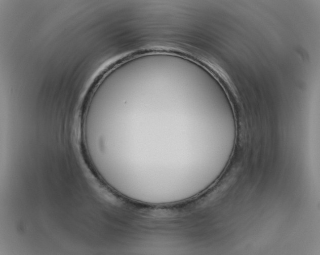 X0000113550984200909180956