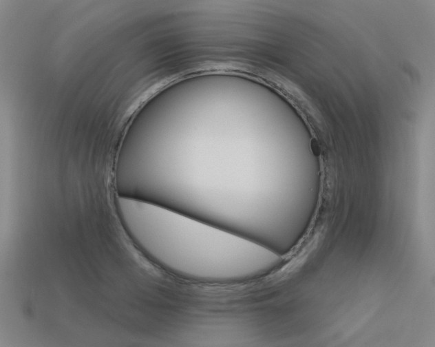 X0000113550985200909180956