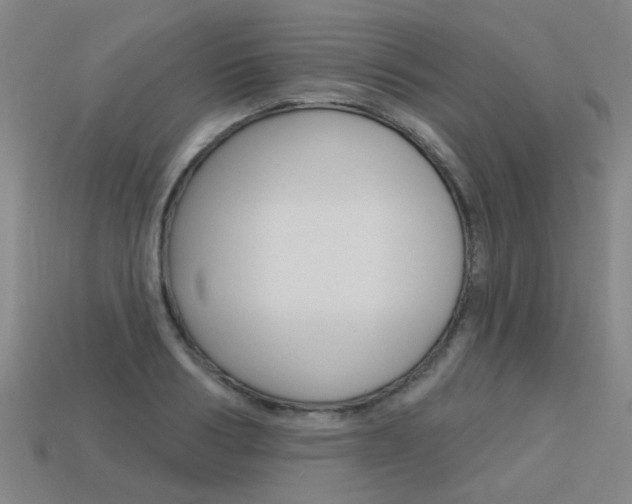 X0000113550986200909180956