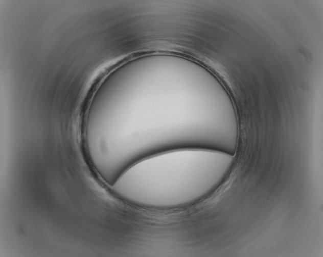 X0000113550987200909180956