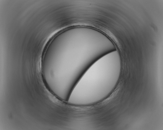 X0000113550988200909180956