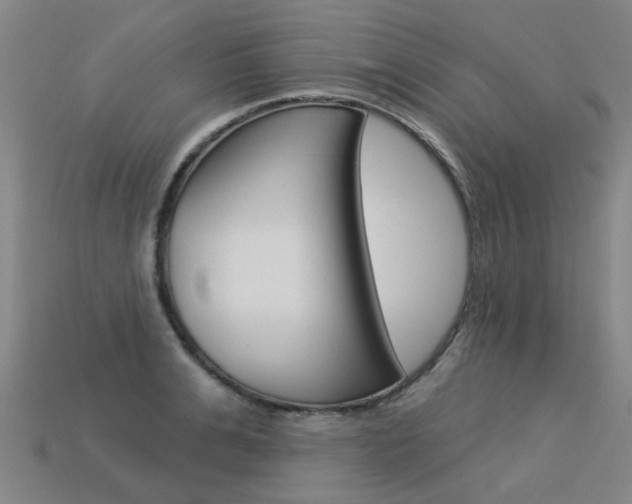 X0000113550991200909180956
