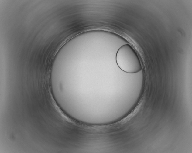 X0000113550993200909180955