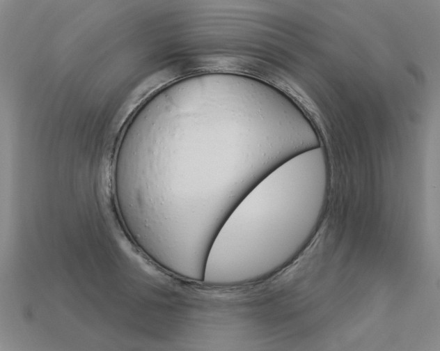X0000113550994200909180955