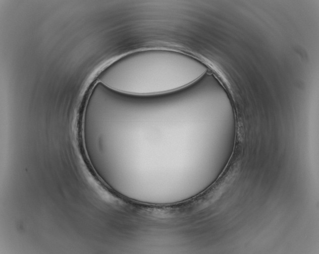 X0000113550995200909180955
