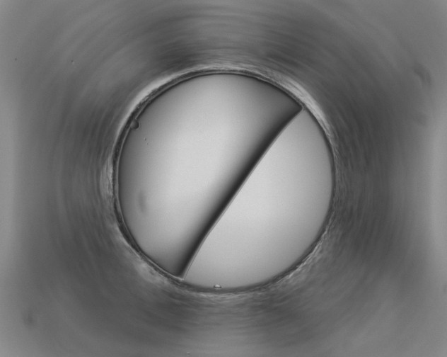X0000113550996200909180955