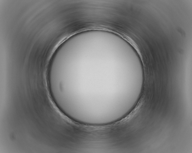 X0000113550997200909180955