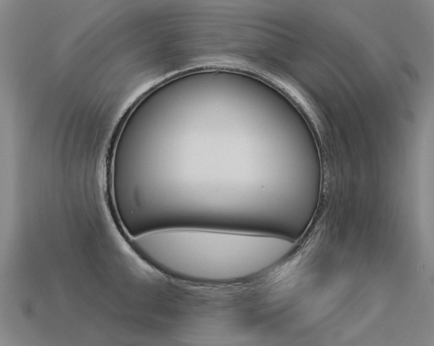 X0000113550999200909180955