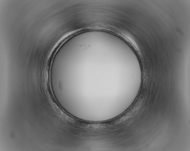 X0000113551000200909180955