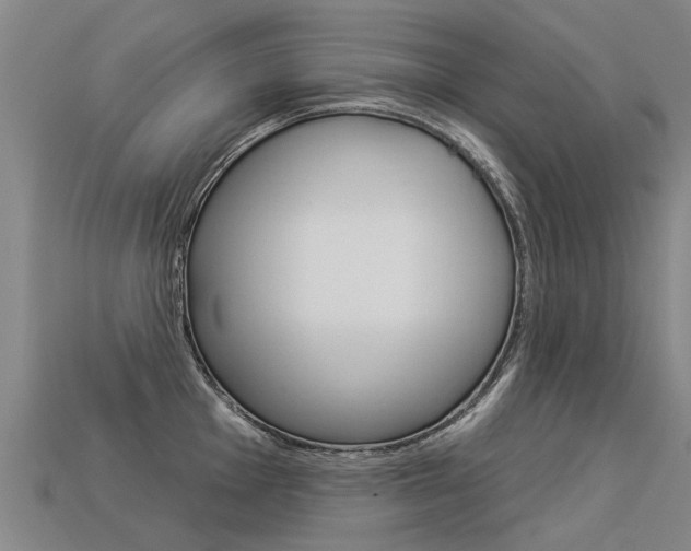 X0000113551001200909180955