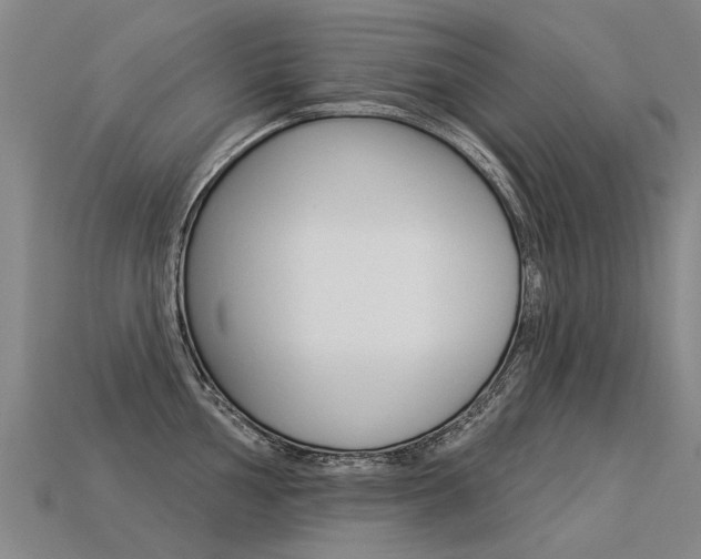 X0000113551002200909180955